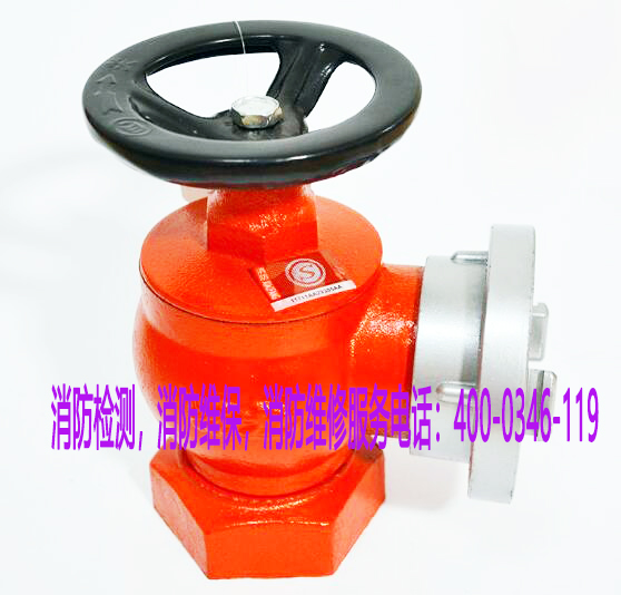 �����y�T�S��