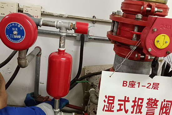 ���S�@�^(q��)�����S��